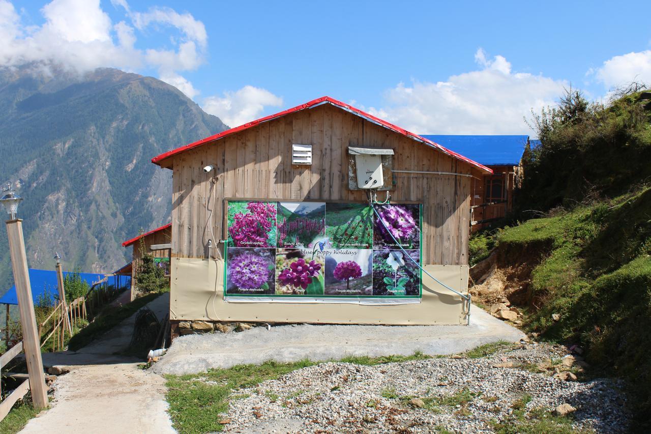 Blue Poppy Resorts Joshīmath 外观 照片